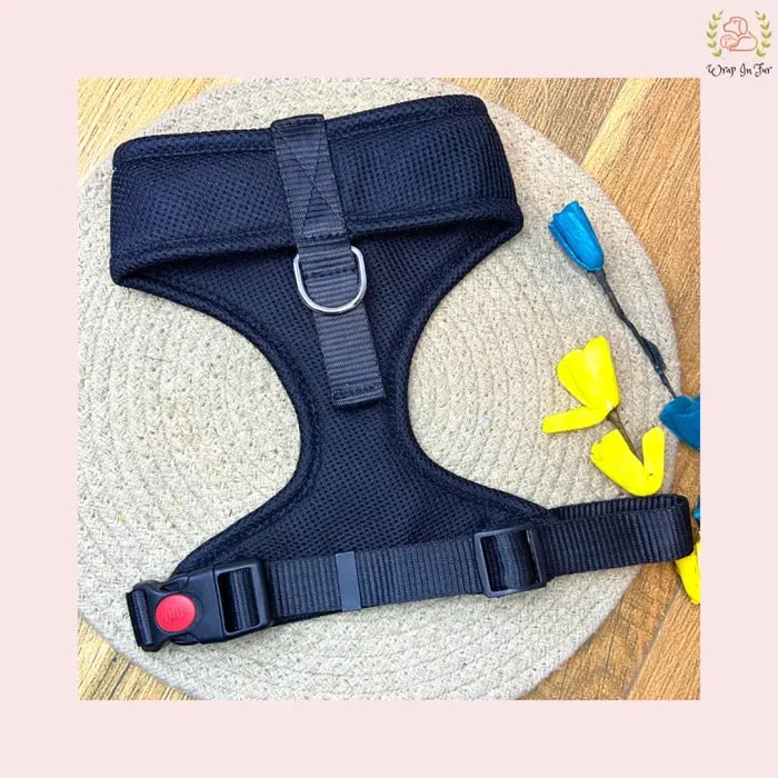 black dog harness
