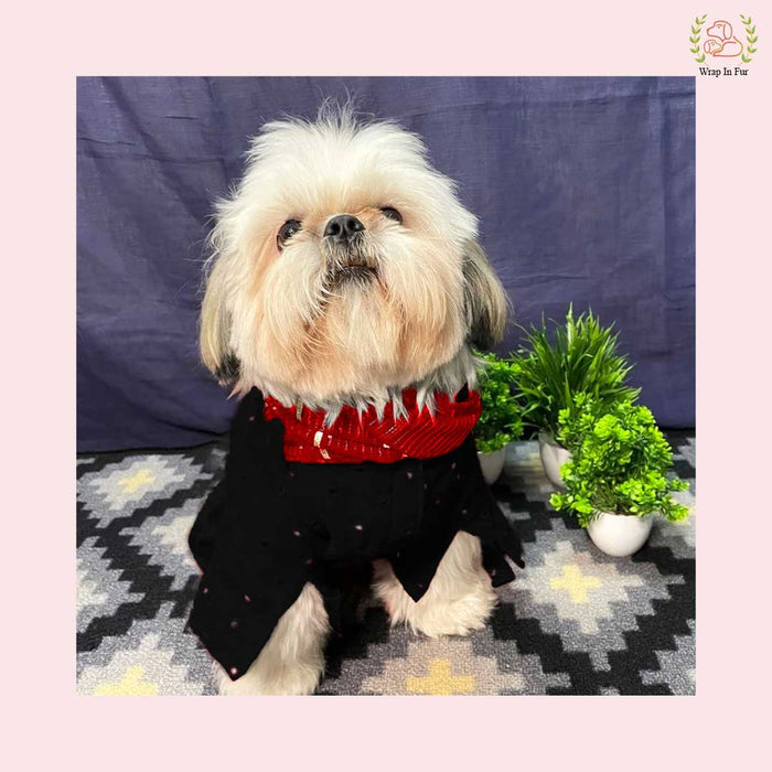 Black & Red Mirror Work Dog Kurta Set - Indian Dog Ethnic Wear