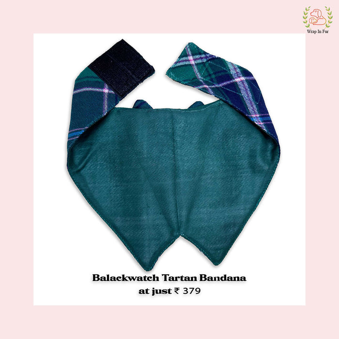 Blackwatch Tartan Tuxedo Style Dog Bandana - Festive Accessory
