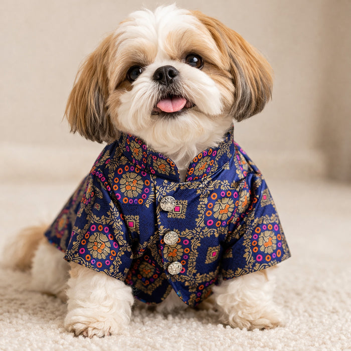 Blue Bandgala Dog Sherwani