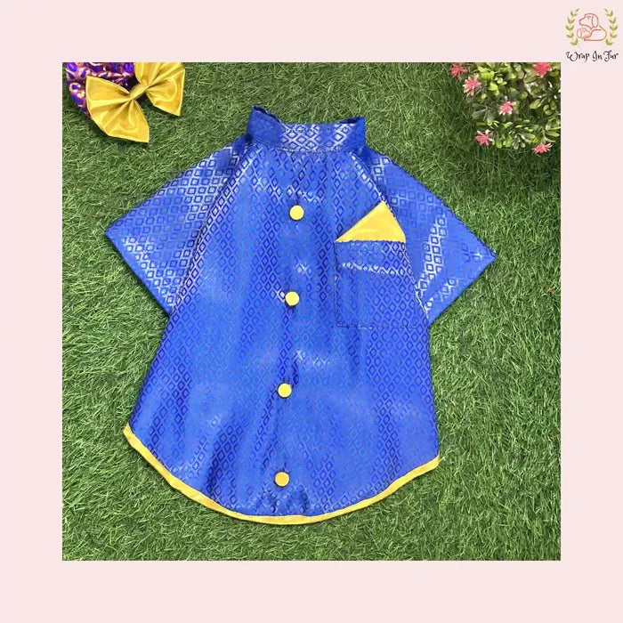 Blue bling dog sherwani indian outfit