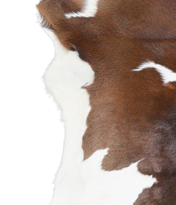 Calfhide #A28609