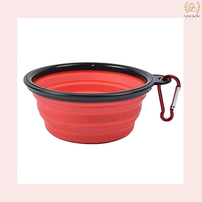 Collapsible Dog Bowl
