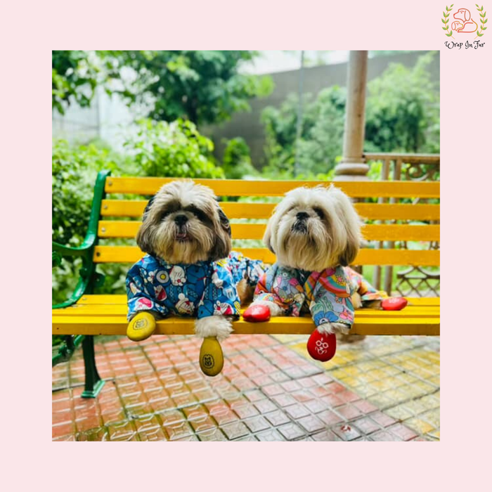 Doremon Dog Raincoat