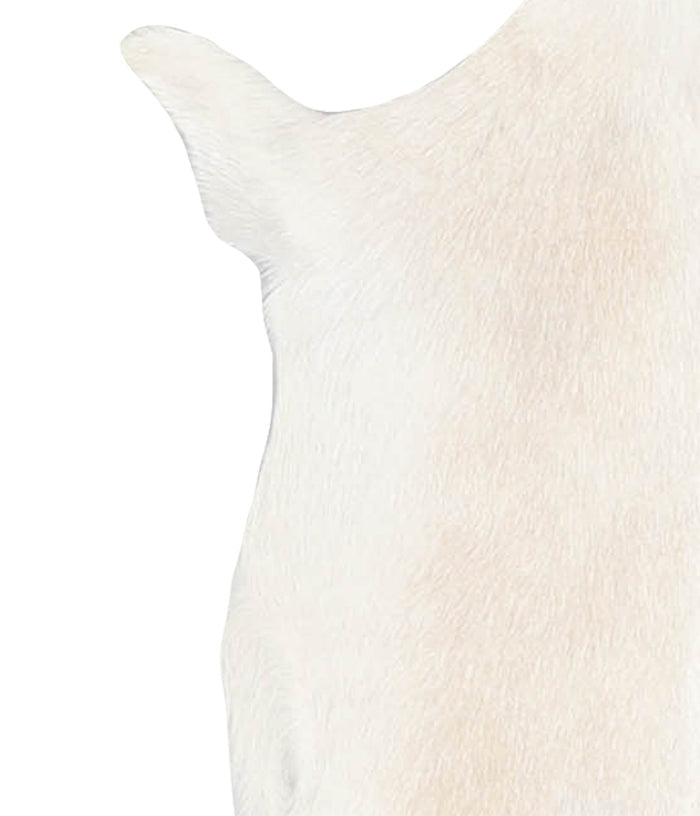 Goatskin #A28173