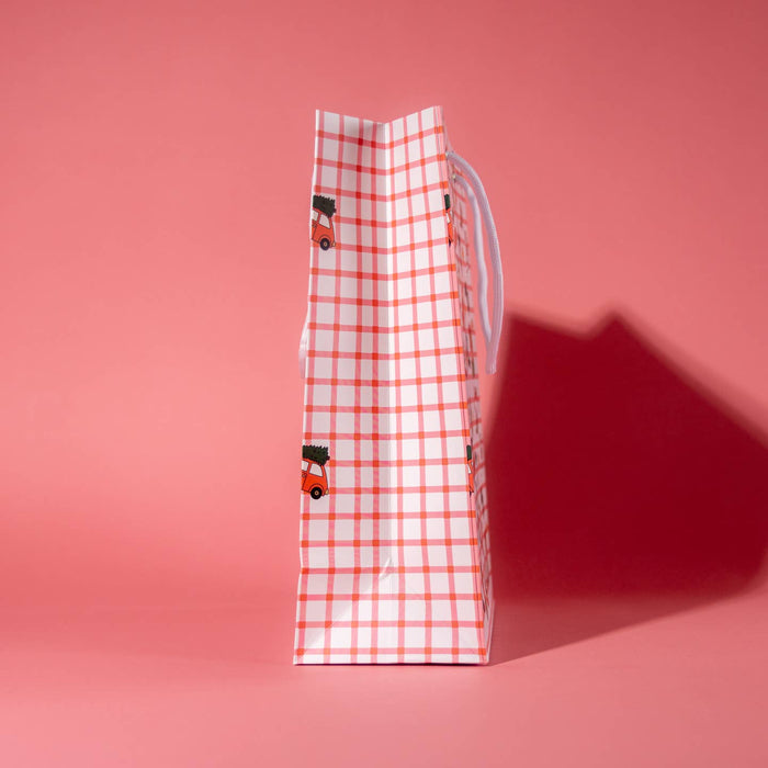 Merry Christmas Gift Bag