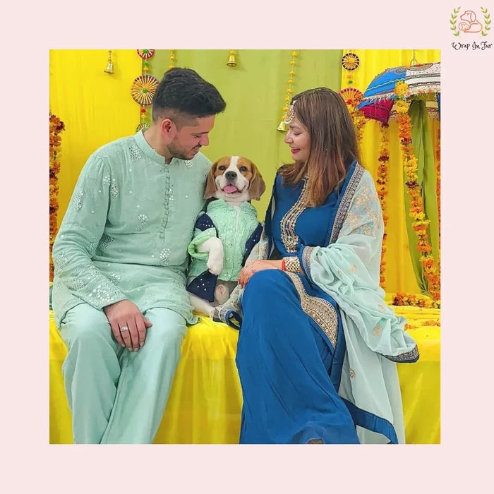 Mint Green Mirror Work Dog Kurta with Navy Dupatta - Indian Dog Ethnic Wear