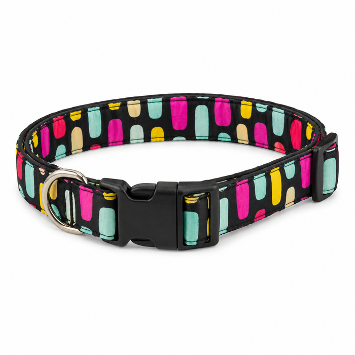 Multicolor Dog Collar