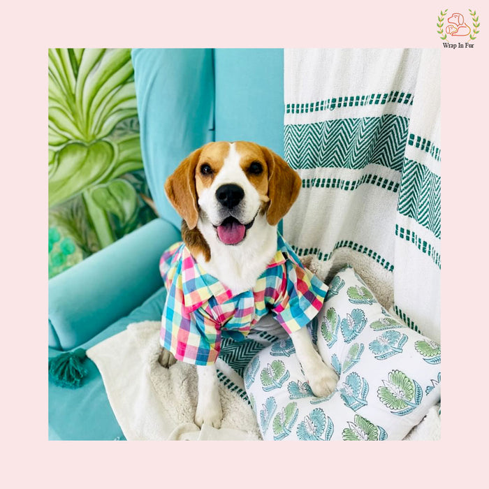 Multicolor Shirt Dog shirt