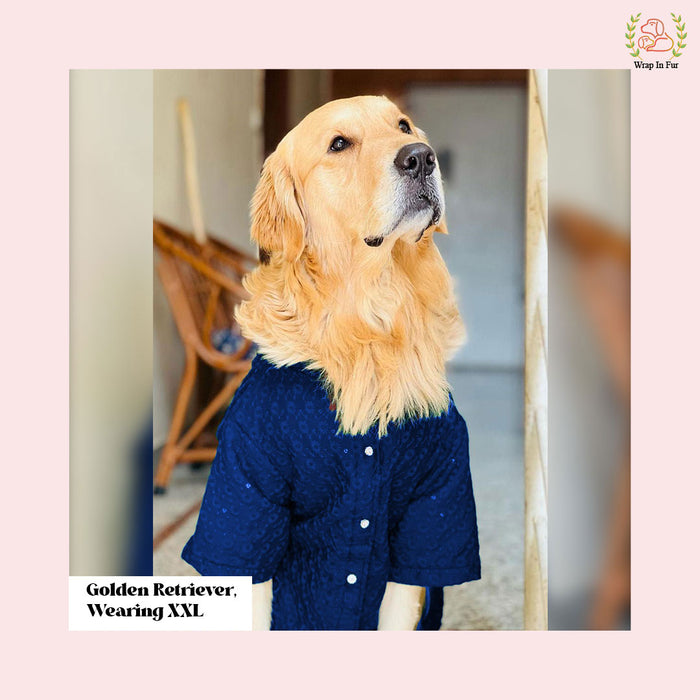 Navy Blue Chikankari Dog Kurta - Premium Indian Dog Ethnic Wear