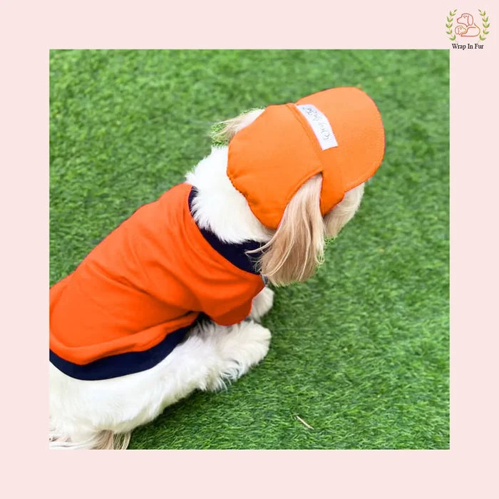 orange dog cap for big dog