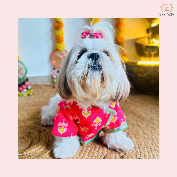 Dog Kurta