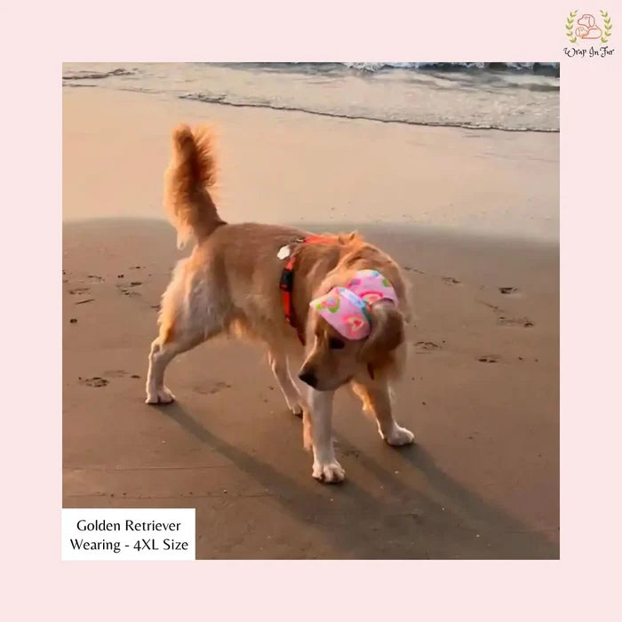 pink neon dog cap for shihtzu