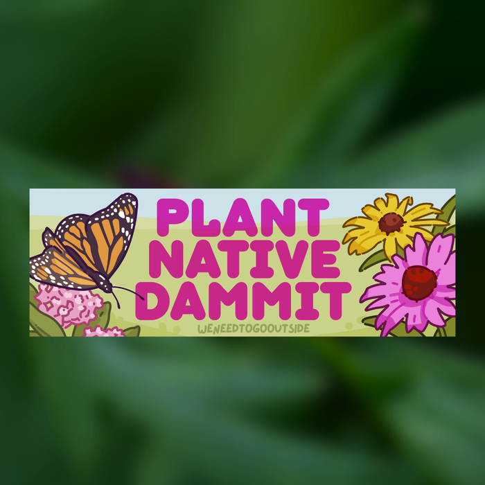 Plant Native Bumper Sticker