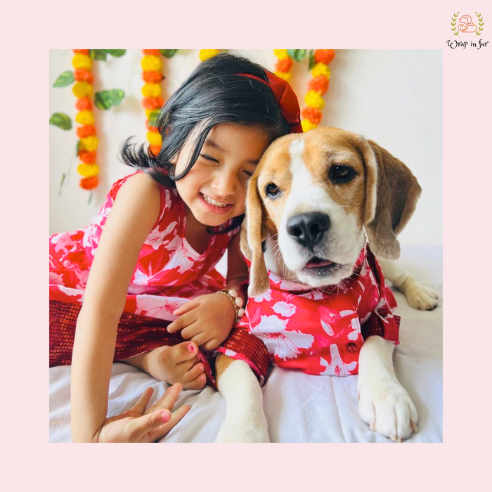 Red Floral Pathani Dog Kurta - Premium Indian Dog Ethnic Wear Dress