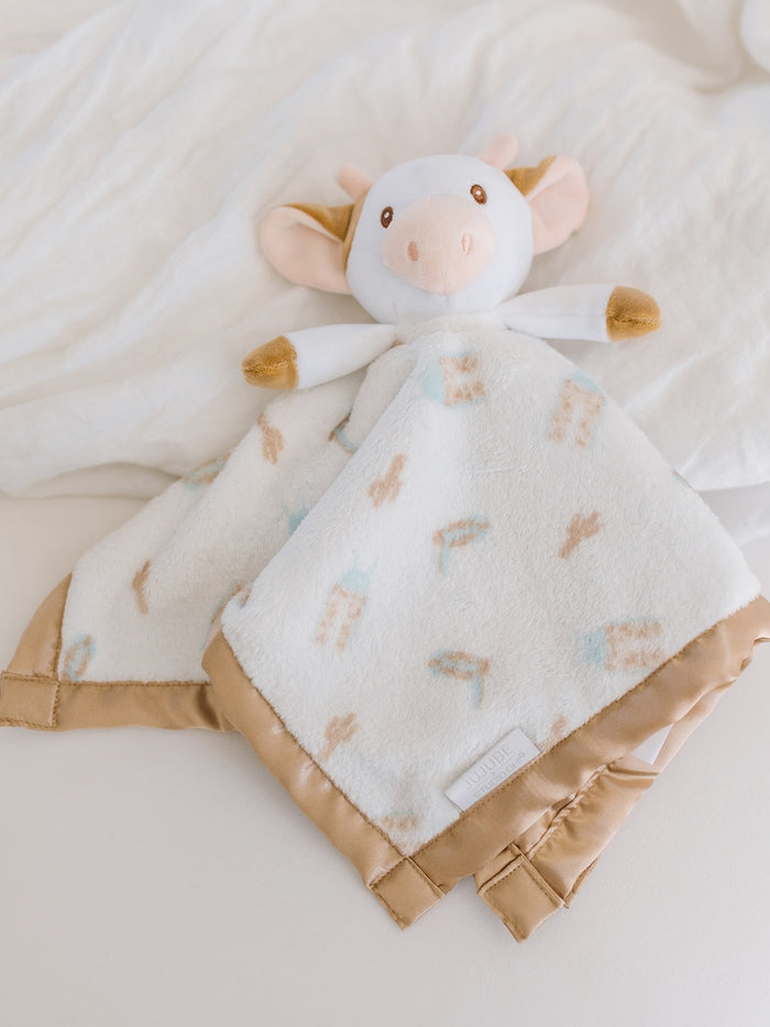 Reversible Baby Blanket - Howdy Partner Blue