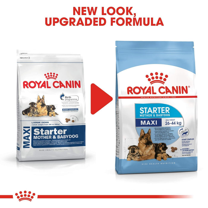 Royal Canin Maxi Starter Dog Dry Food