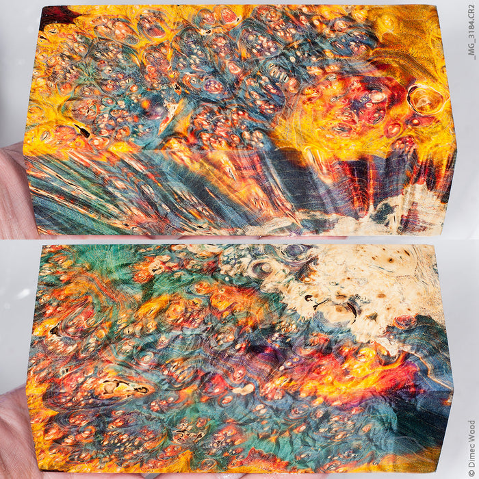 Stabilized wood box elder burl block