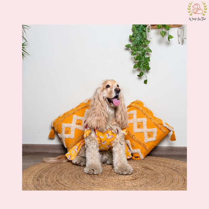Unipaw Magic Dog Frock