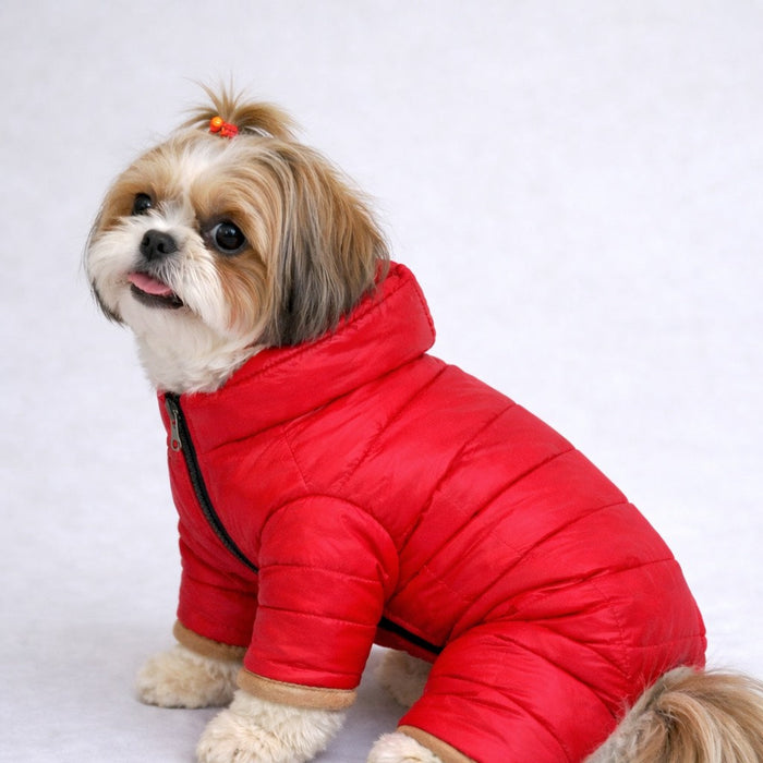 Dog wearing a red puffer coat on a white background