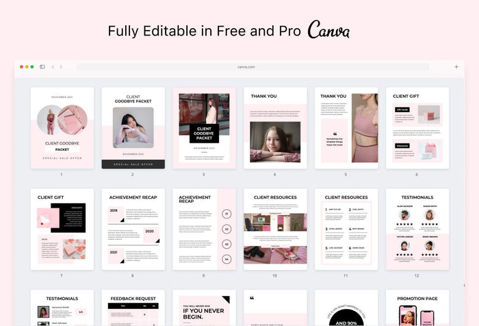 Ladystrategist 21 Page Client Goodbye Packet for Coaches - Editable Canva Template Chic Collection instagram canva templates social media templates etsy free canva templates