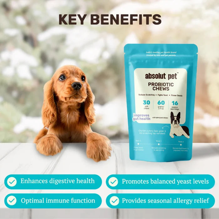 Absolut Probiotic & Gut Chews | Probiotics for Dogs Chicken 30 Chews