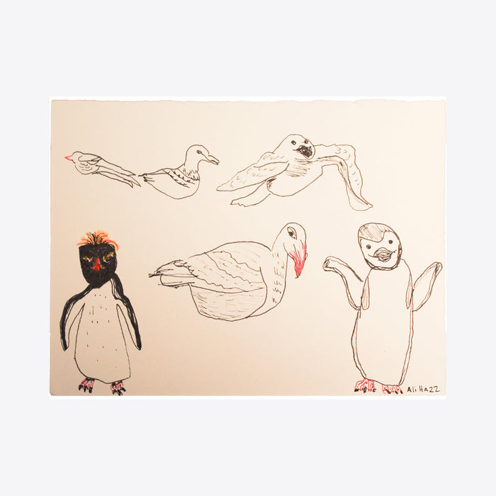 The artwork Antarctica Birds, by Ali Ha