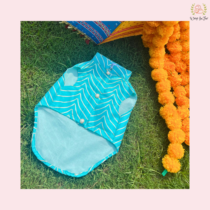 Golden Dog Sherwani