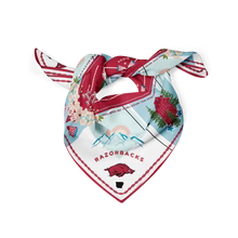 Arkansas Razorback Saturday Scarf
