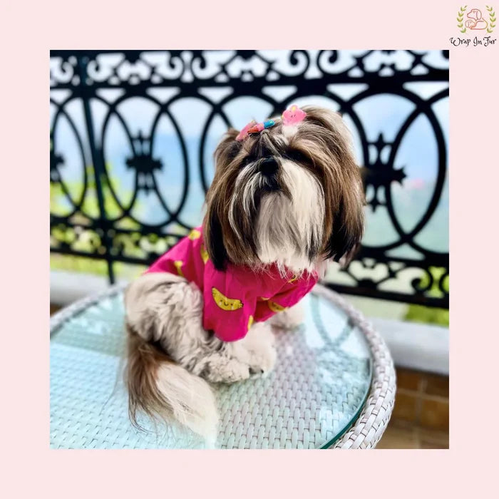 banana dog shirt for shihtzu