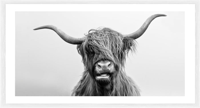 Billy | Framed Print