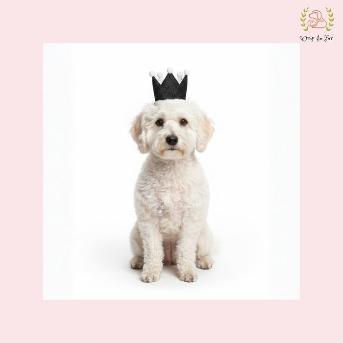 Black Birthday Crown for Dogs – Party Hat & Celebration Accessory