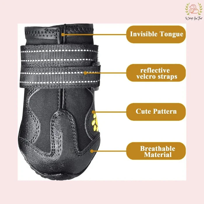 Black Dog Shoes