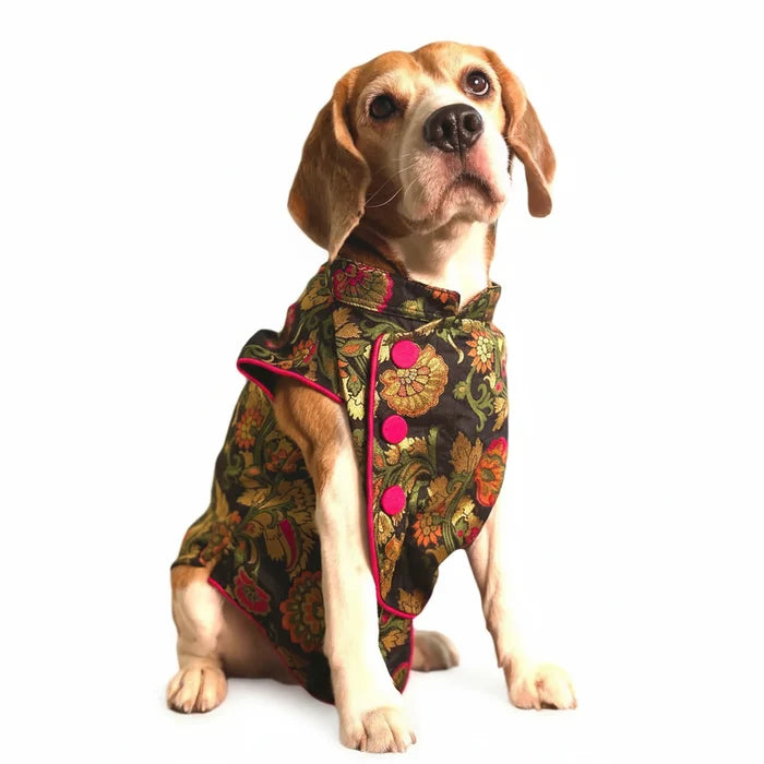 Black Flower Jacket Dog Sherwani