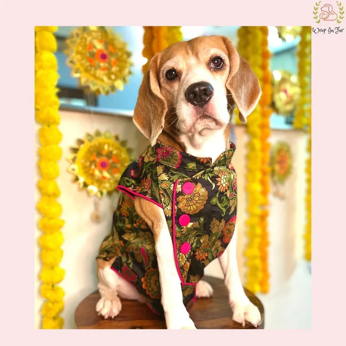 Black Flower Jacket Dog Sherwani