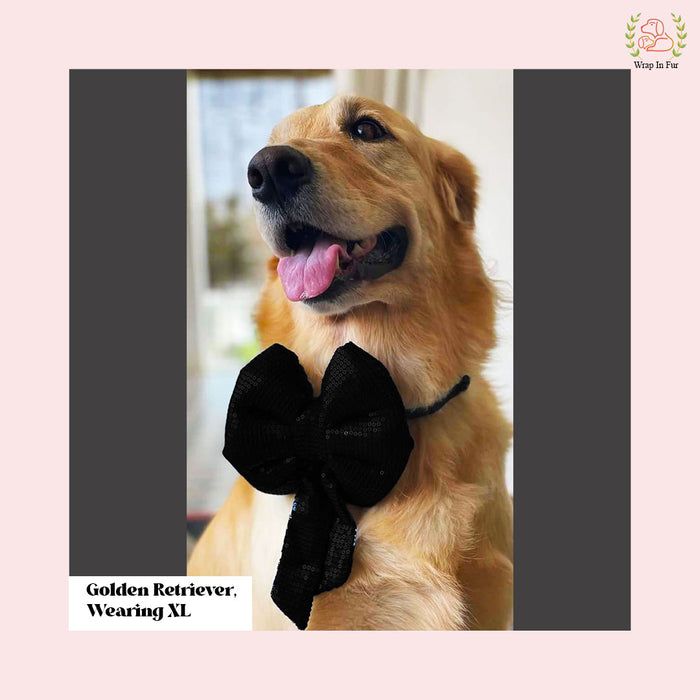 Black Sequin Dog Bow - Shimmering Midnight Holiday Pet Hair Bow Accessory