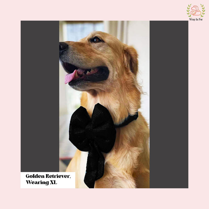Black Sequin Dog Bow - Shimmering Midnight Holiday Pet Hair Bow Accessory