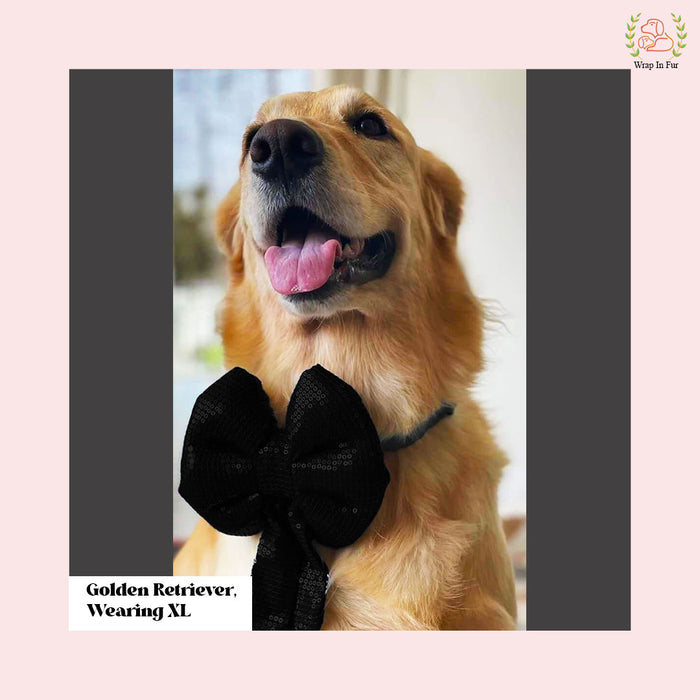 Black Sequin Dog Bow - Shimmering Midnight Holiday Pet Hair Bow Accessory