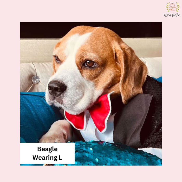 Black Sequin Dog Tuxedo Jacket - Glamorous Wedding Formal Suit