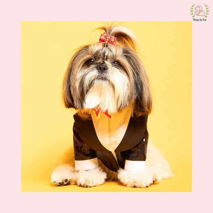 Black Sequin Dog Tuxedo Jacket - Glamorous Wedding Formal Suit