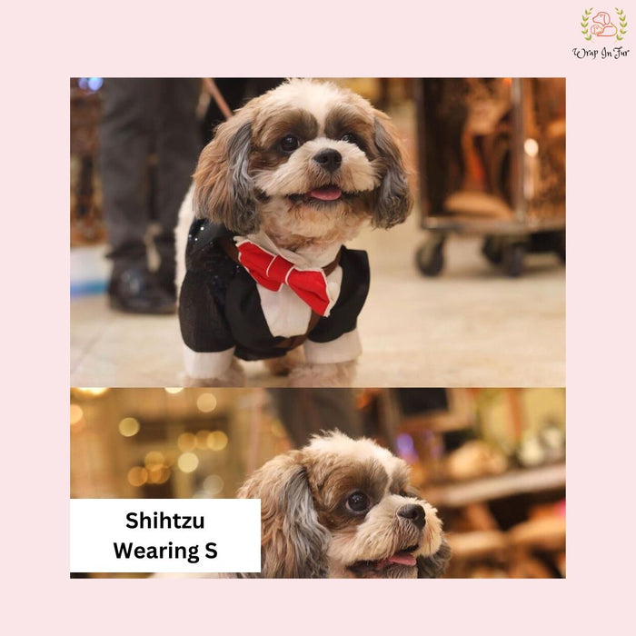 Black Sequin Dog Tuxedo Jacket - Glamorous Wedding Formal Suit
