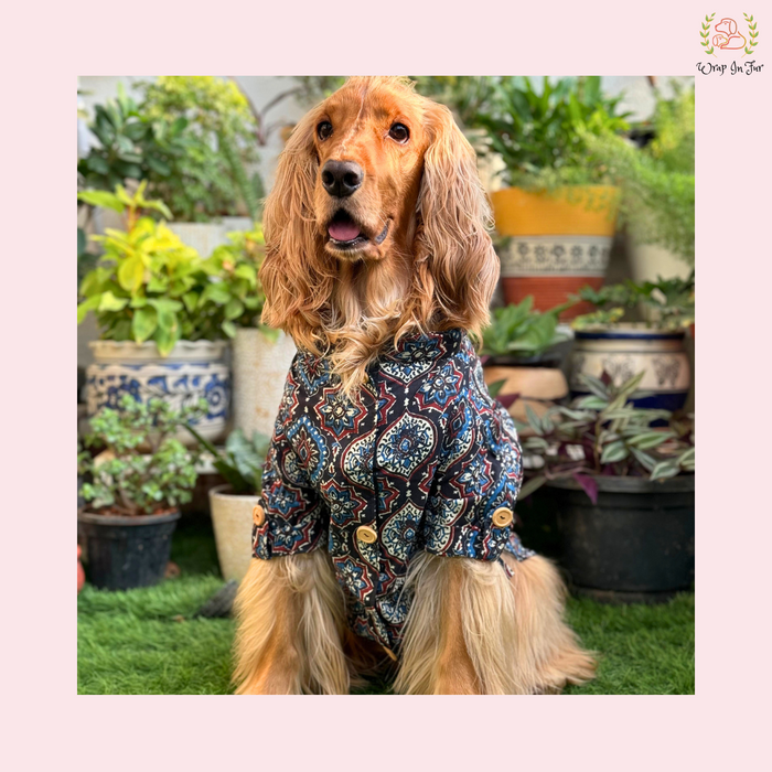 Black Traditional Block Print Dog Kurta - Indian Dog Ethnic Wear Dress