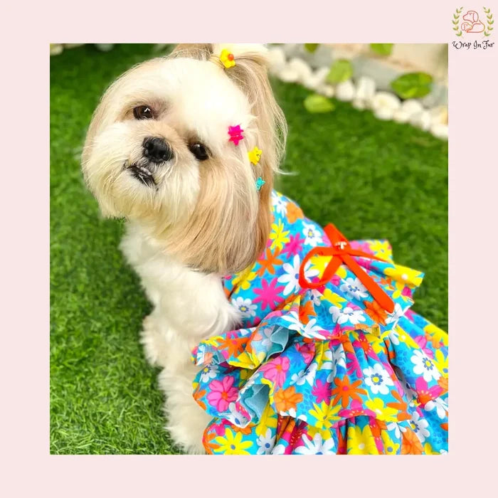 Blossom Dog Frock