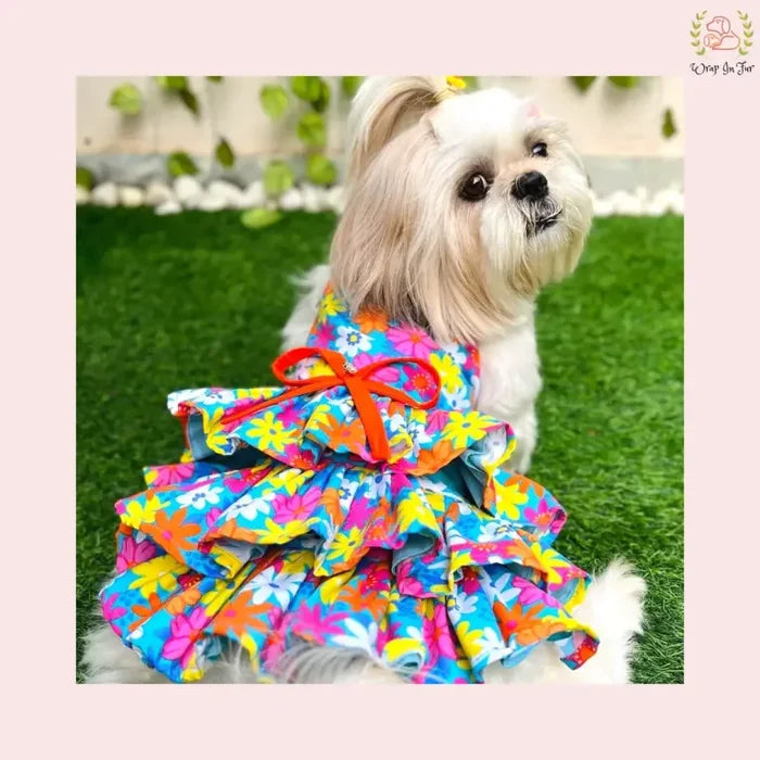 Blossom Dog Frock