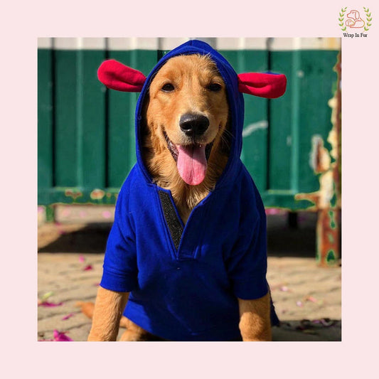 Blue Bunny Ear Dog Hoodie – Warm & Adorable Wear
