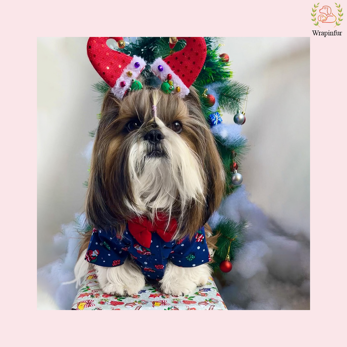 Blue Christmas Dog Shirt – Festive Winter Outfit for Pets