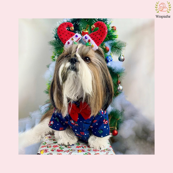 Blue Christmas Dog Shirt – Festive Winter Outfit for Pets