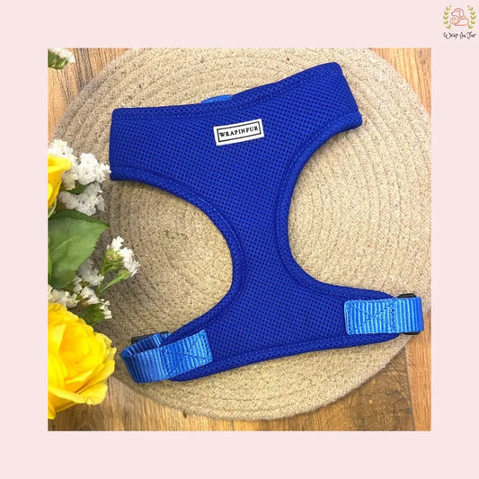 blue dog harness