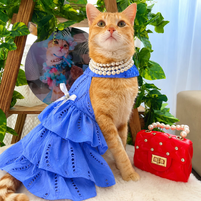 Blue Embroidery Frock Dog Princess Dress – Bridal & Wedding Outfit