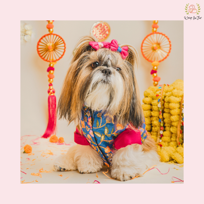 Blue Floral Pink Dog Kurta Jacket Set - Premium Indian Dog Ethnic Wear